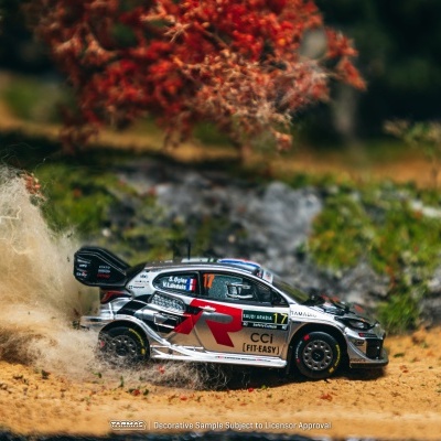 Miniatura de carro de rali preto, branco e vermelho em cenário arenoso com vegetação
