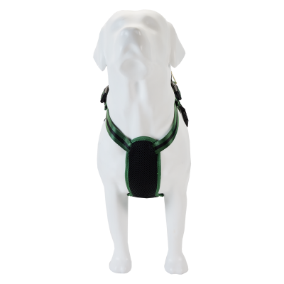 Peitoral preto e verde para cão num manequim branco