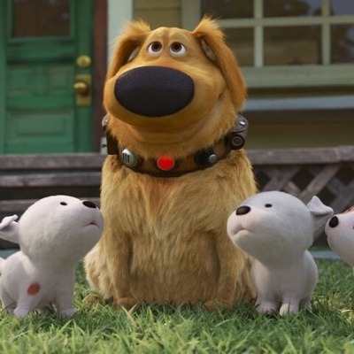 Cão animado castanho com coleira e quatro pequenos cães brancos num relvado em frente a uma casa