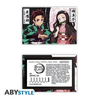 Caixa de produto com ilustração de Tanjiro e Nezuko de Demon Slayer.