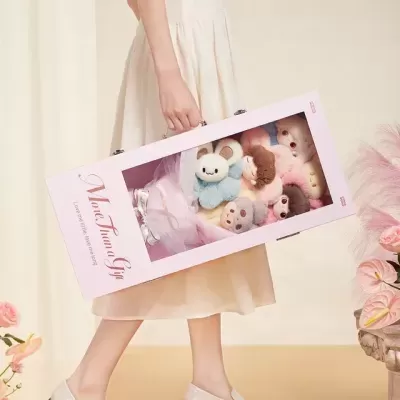 Caixa rosa com peluches coloridos visíveis por janela transparente