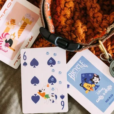 Cartas de baralho Disney cats & dogs sobre tecido tricotado laranja com cinto castanho