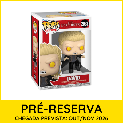 Figura Funko Pop David The Lost Boys em caixa