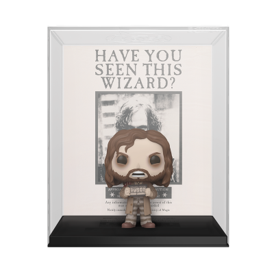 Funko Pop de personagem com cartaz HAVE YOU SEEN THIS WIZARD atrás