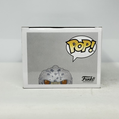 Caixa da Funko Pop com cabeça de personagem com penas cinzentas e olhos castanhos