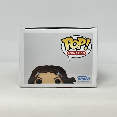 Caixa branca com figura Funko Pop! e logo POP! ANIMATION