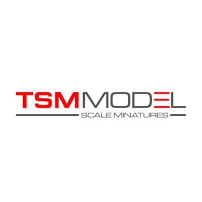Logótipo da TSM Model em vermelho e cinzento sobre fundo branco