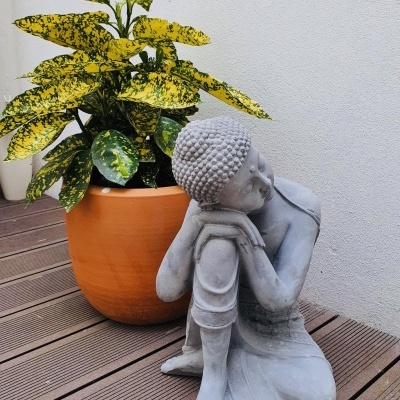 Estátua de Buda cinzenta junto a vaso com planta em madeira.