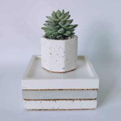 Suculenta artificial em vaso branco com base quadrada branca e detalhes em cortiça