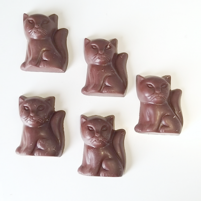 Cinco chocolates em forma de gato castanho escuro sobre fundo branco