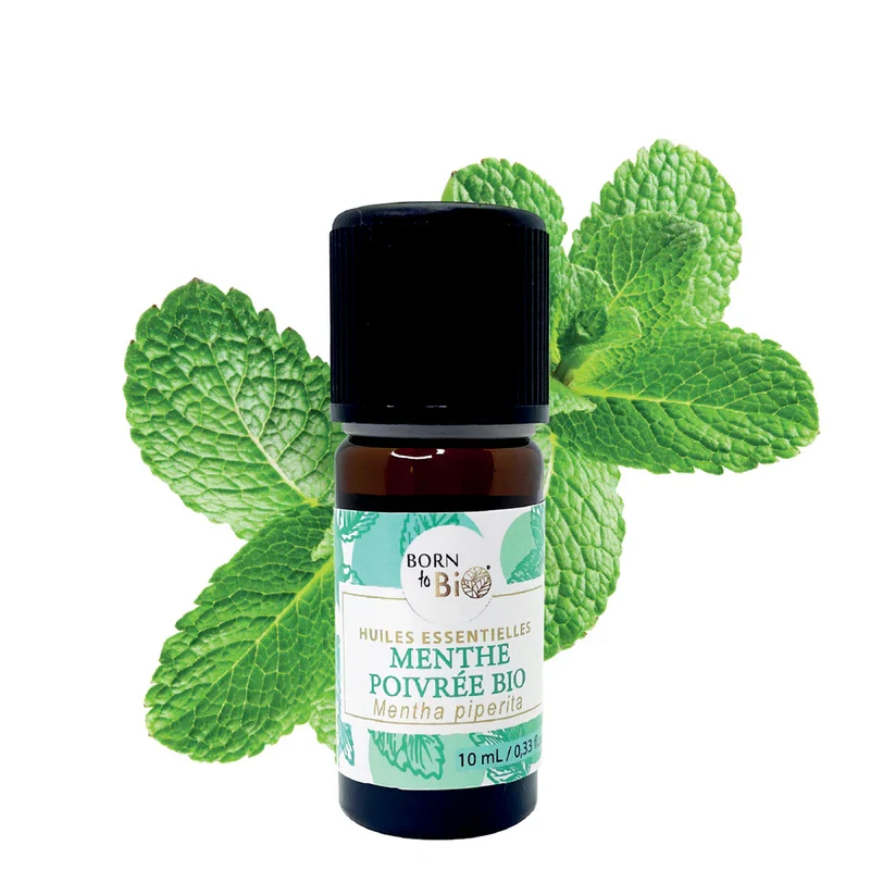 Óleo Essencial Biológico de Hortelã-Pimenta – Born to Bio Frasco pequeno de óleo essencial de hortelã com folhas verdes de hortelã ao fundo