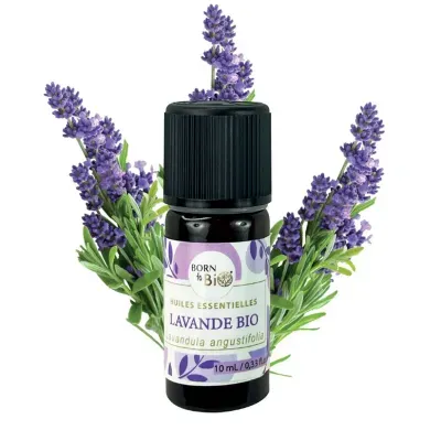 Frasco de óleo essencial de lavanda orgânica com ramos de lavanda