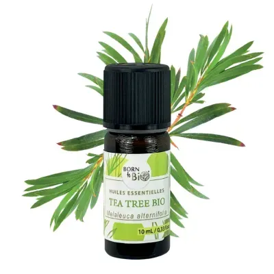 Frasco de óleo essencial Tea Tree BIO com folhas verdes atrás