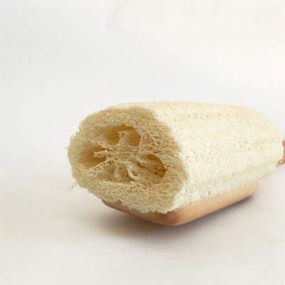 Escova de banho com esponja vegetal natural e cabo de madeira