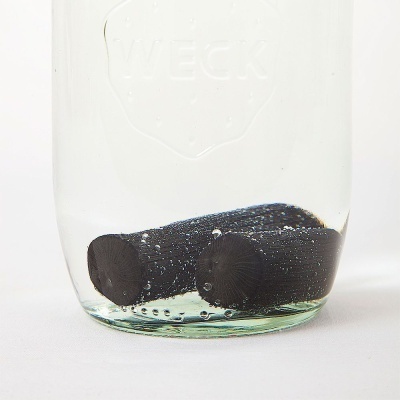 Frasco de vidro WECK com duas pedras negras dentro, água e bolhas.