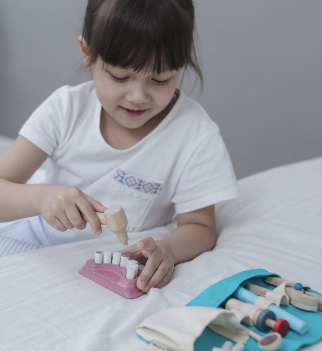 Set de Dentista PLANTOYS Set de Dentista PLANTOYS