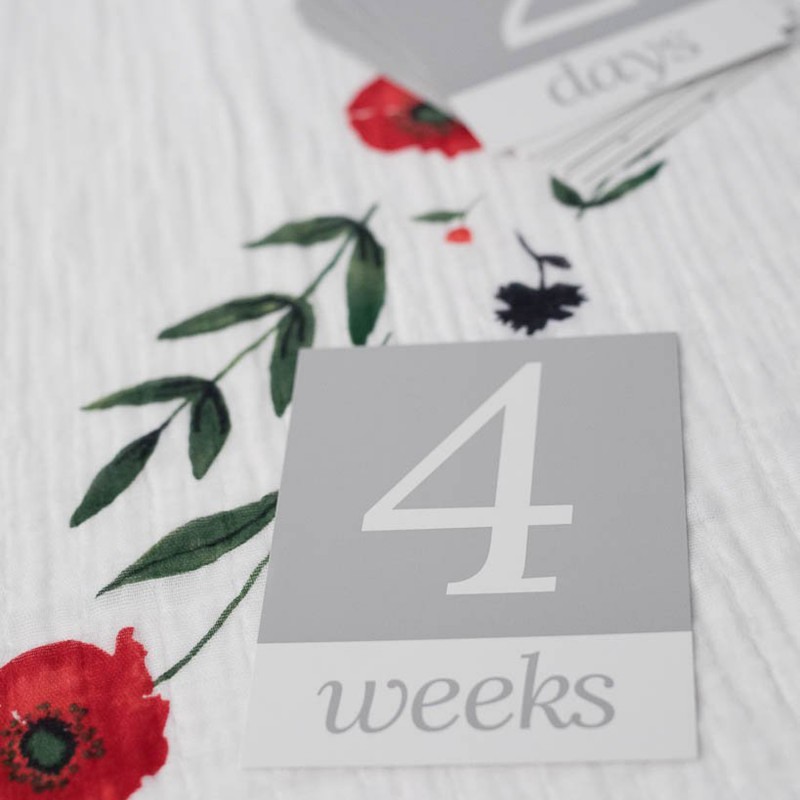 Musselina de celebração para fotografia Poppy Little Unicorn (1und.) Musselina de celebração para fotografia Poppy Little Unicorn (1und.)