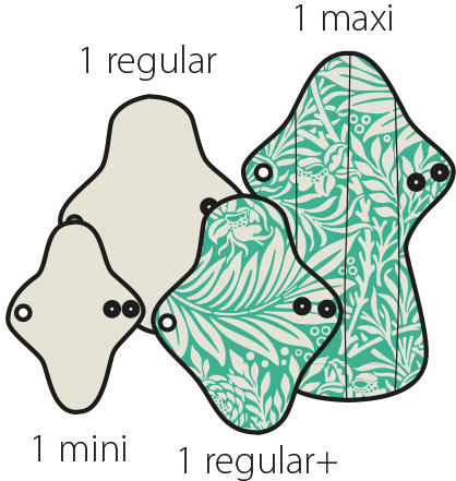 Penso Manymonths Ecofit set de teste (4 unds) Penso Manymonths Ecofit set de teste (4 unds)