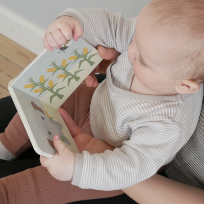 Livro Vamos contar até 10 FRANCK & FISCHER