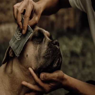 Loção De Limpeza Nellumbo