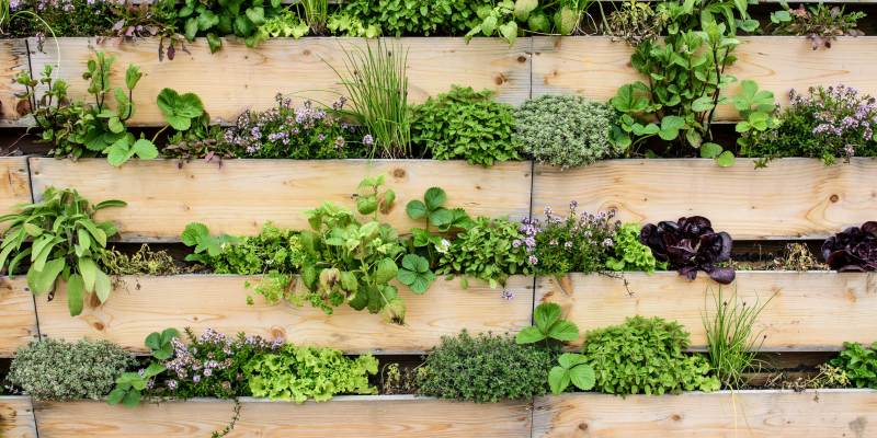 Como construir uma horta vertical