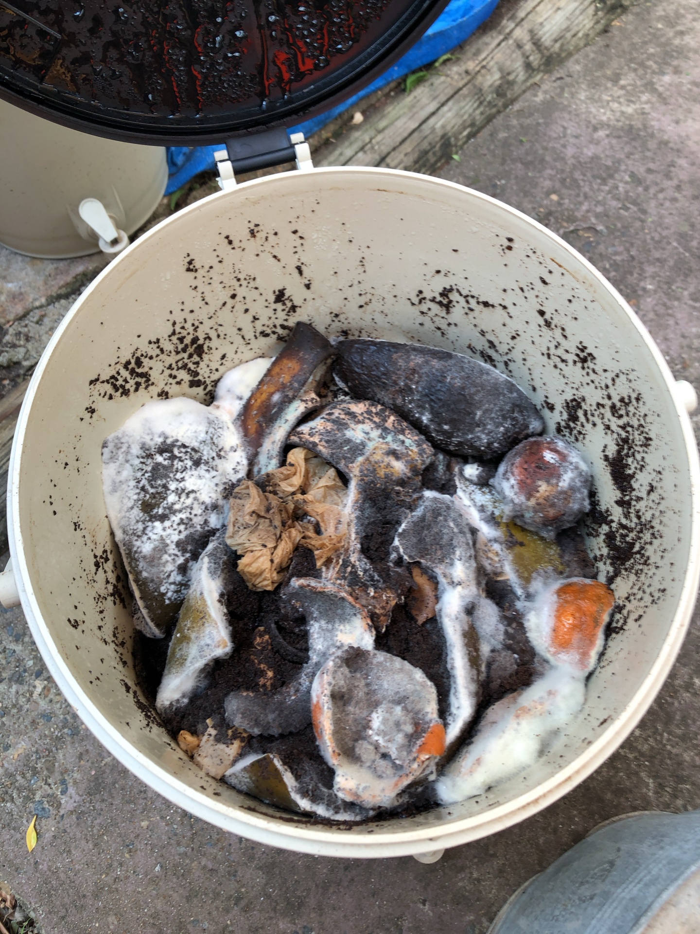 fermenta&ccedil;&atilde;o bokashi