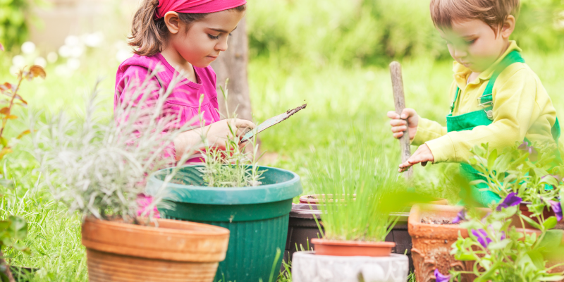 3 actividades para crianças na horta