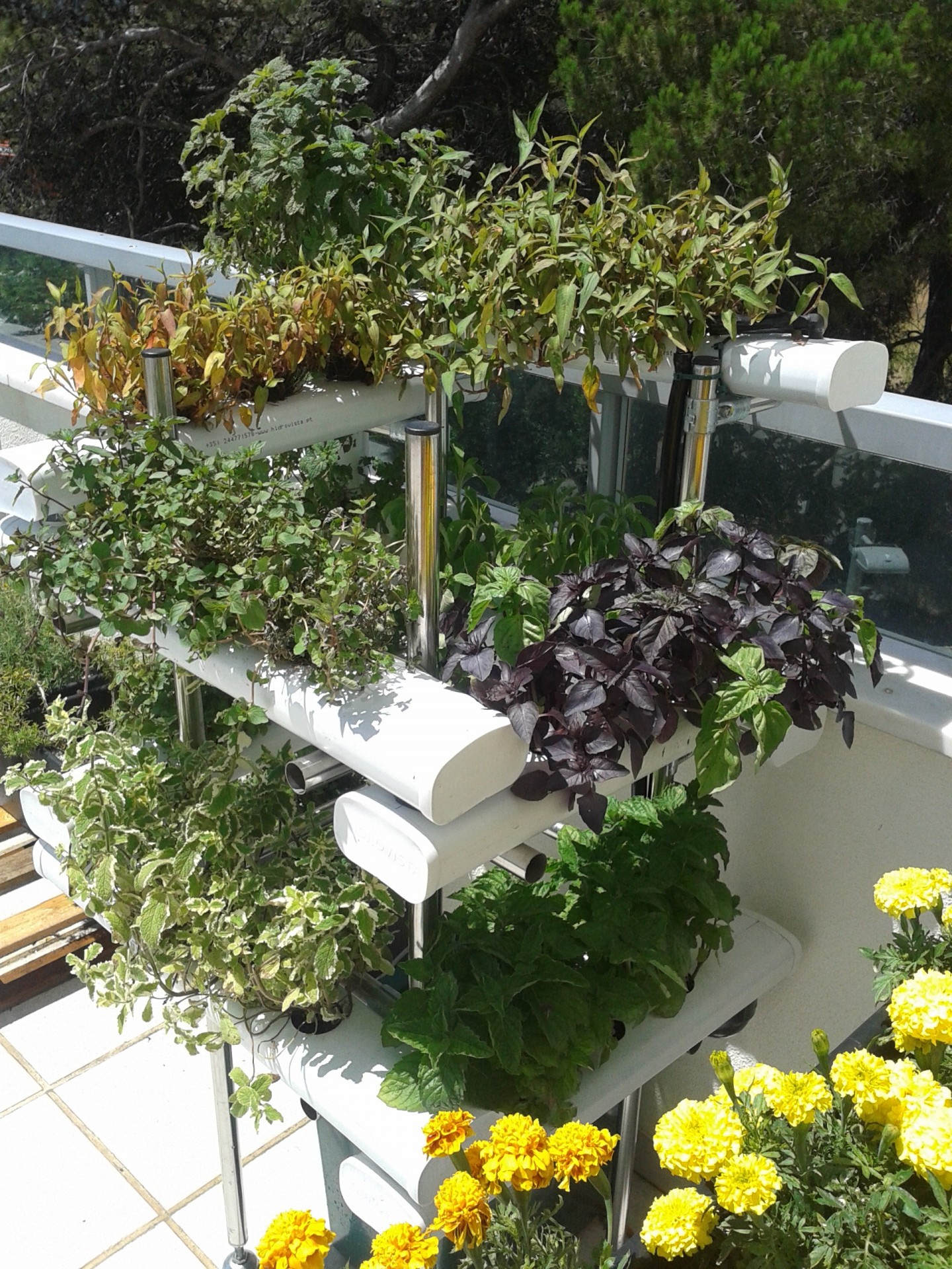 Jardineira vertical com várias plantas e suporte metálico numa varanda de vidro