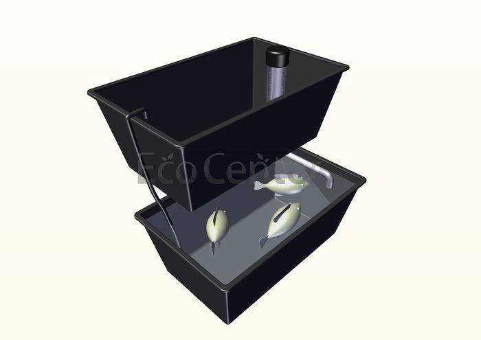 sistema domestico aquaponia