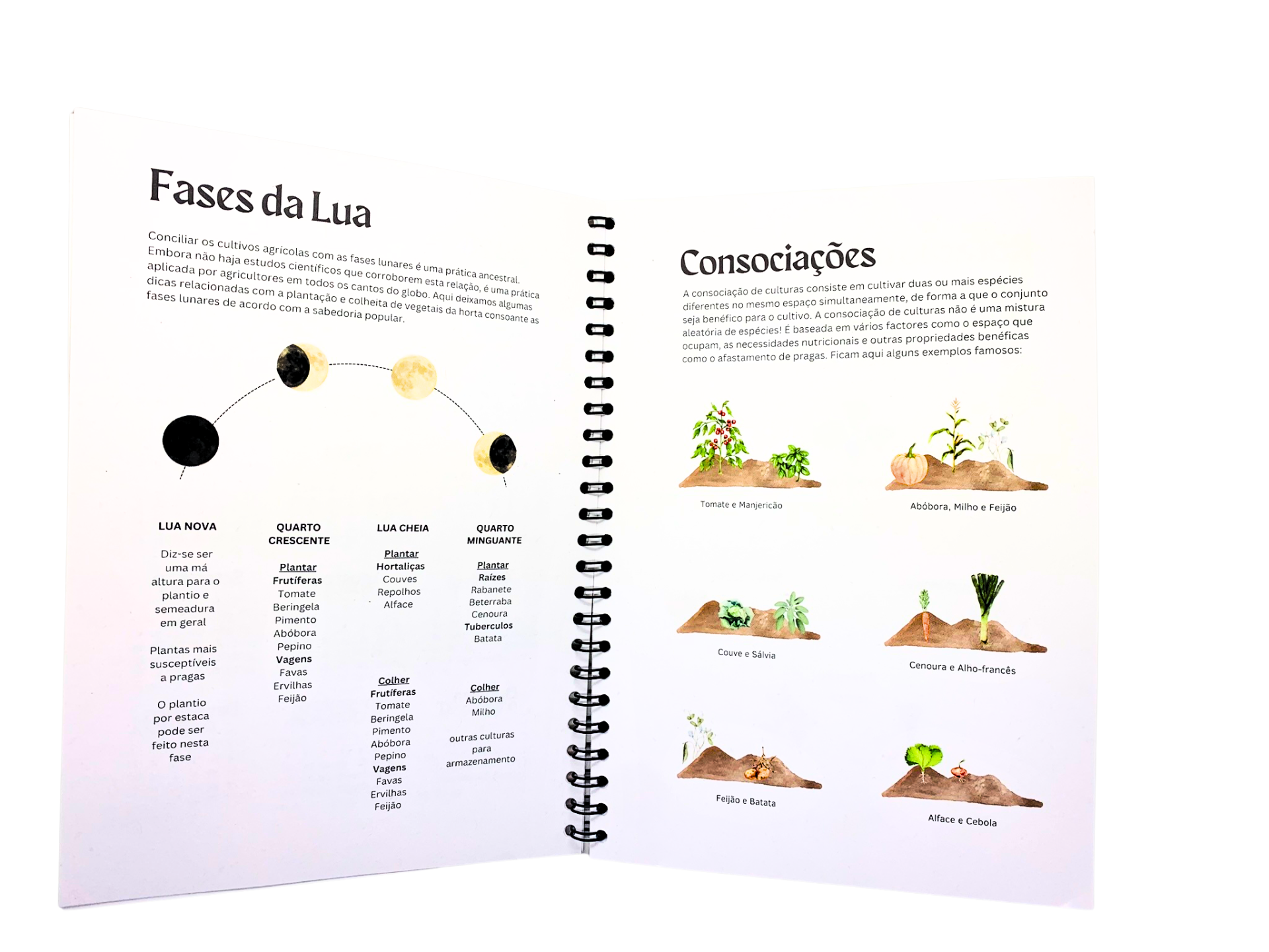 Caderno da Horta Livro aberto com texto e ilustrações sobre fases da lua e consociações de plantas