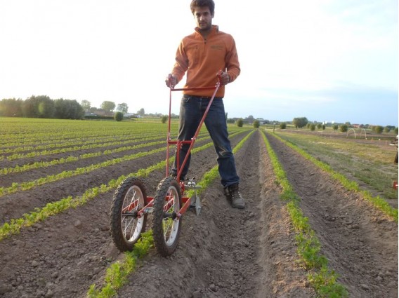 Enxada profissional com 2 rodas Homem usa ferramenta de agricultura manual vermelha em campo