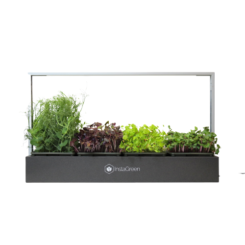 sistema-cultivo-microgreens