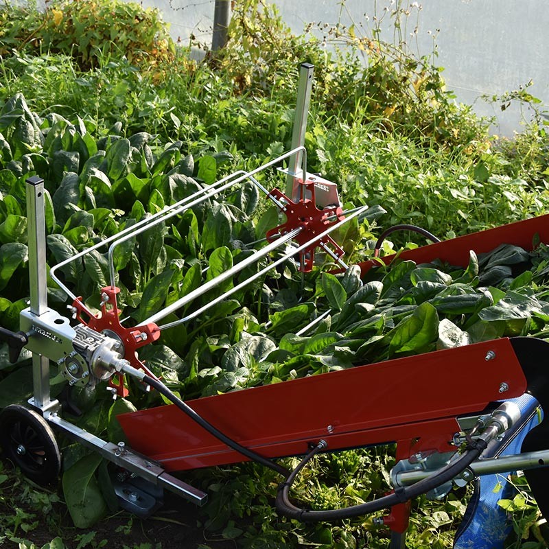 Colhedora Babyleaf 80cm Máquina agrícola vermelha e prateada para colheita em campo verde