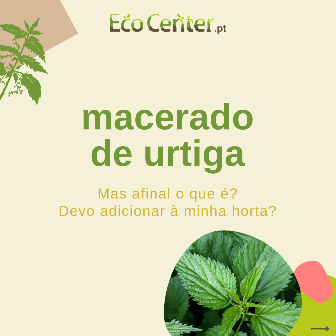Texto sobre macerado de urtiga com folhas verdes e logótipo Eco Center.pt