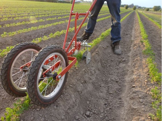 Enxada profissional com 1 roda Enxada profissional com 1 roda