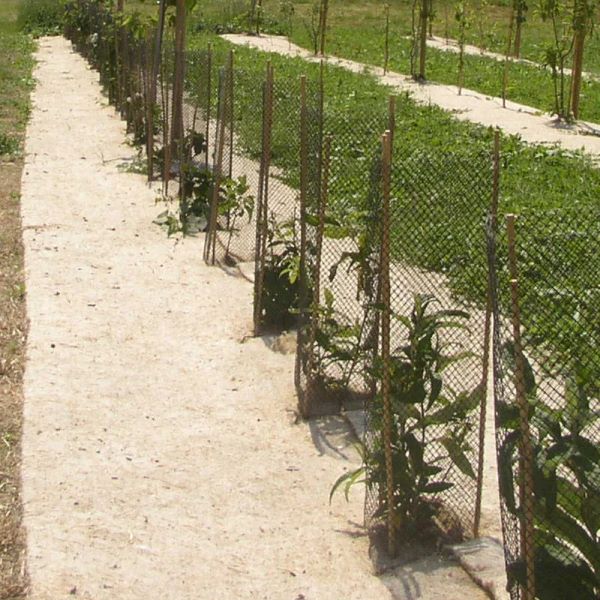 Juta biodegradável para cobertura - 25m Suportes de metal com malha protetora em torno de plantas verdes junto a caminho de terra
