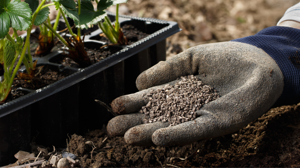 Mão enluvada segurando fertilizante granular sobre terra ao lado de bandeja com plantas