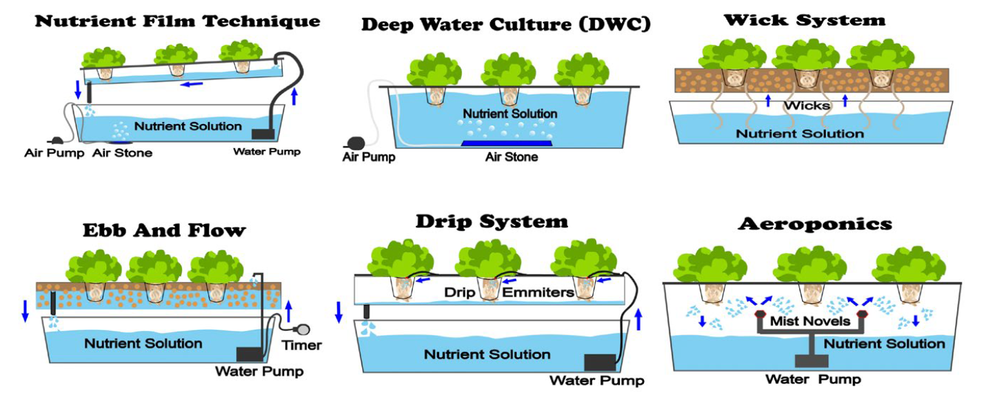 tipos de sistemas hidroponia