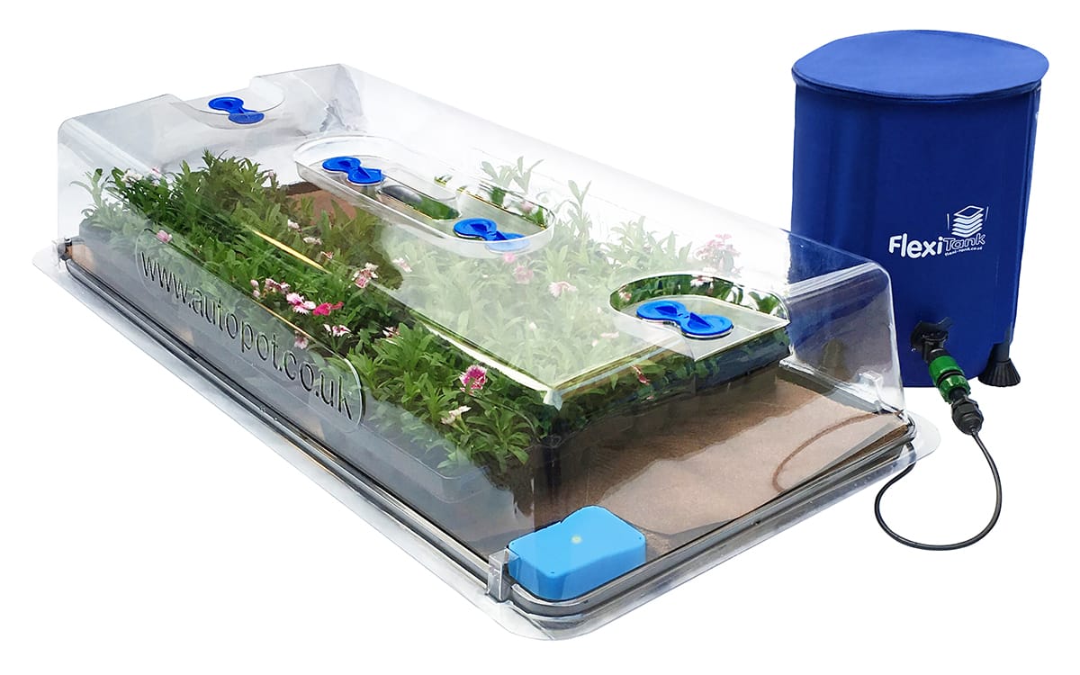 Easy2Propagate Kit Estufa de cultivo transparente com plantas e tanque azul Flexi