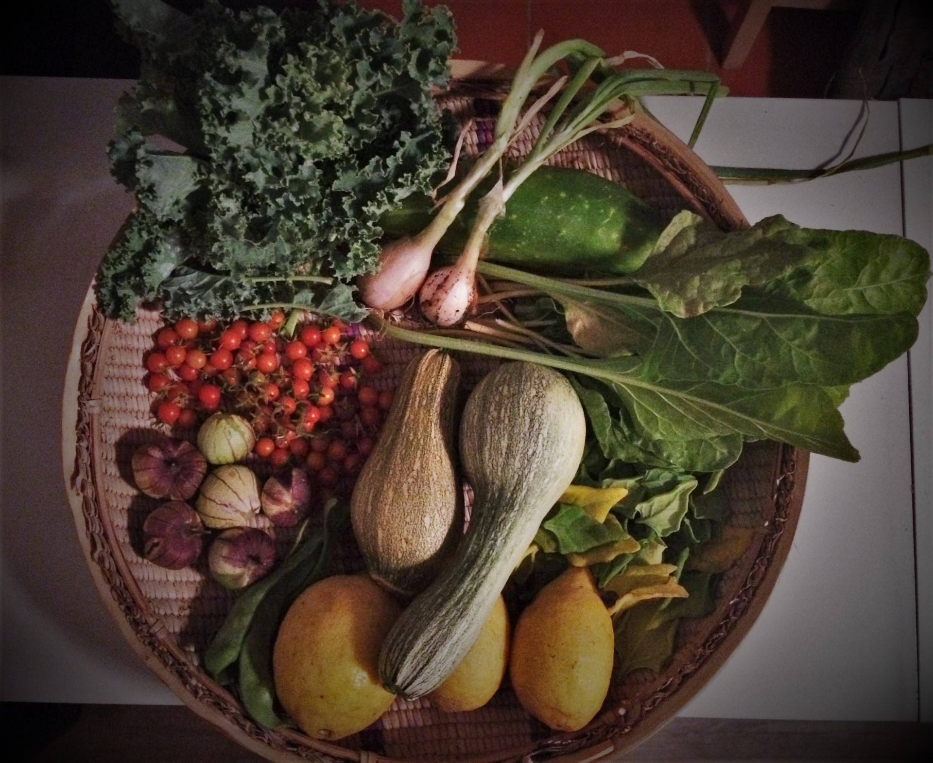 Cesto com vários legumes e verduras frescas, incluindo couve, alho-porro, espinafre, abóboras e tomates