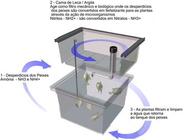 sistema aquapónico, sistema de aquaponia