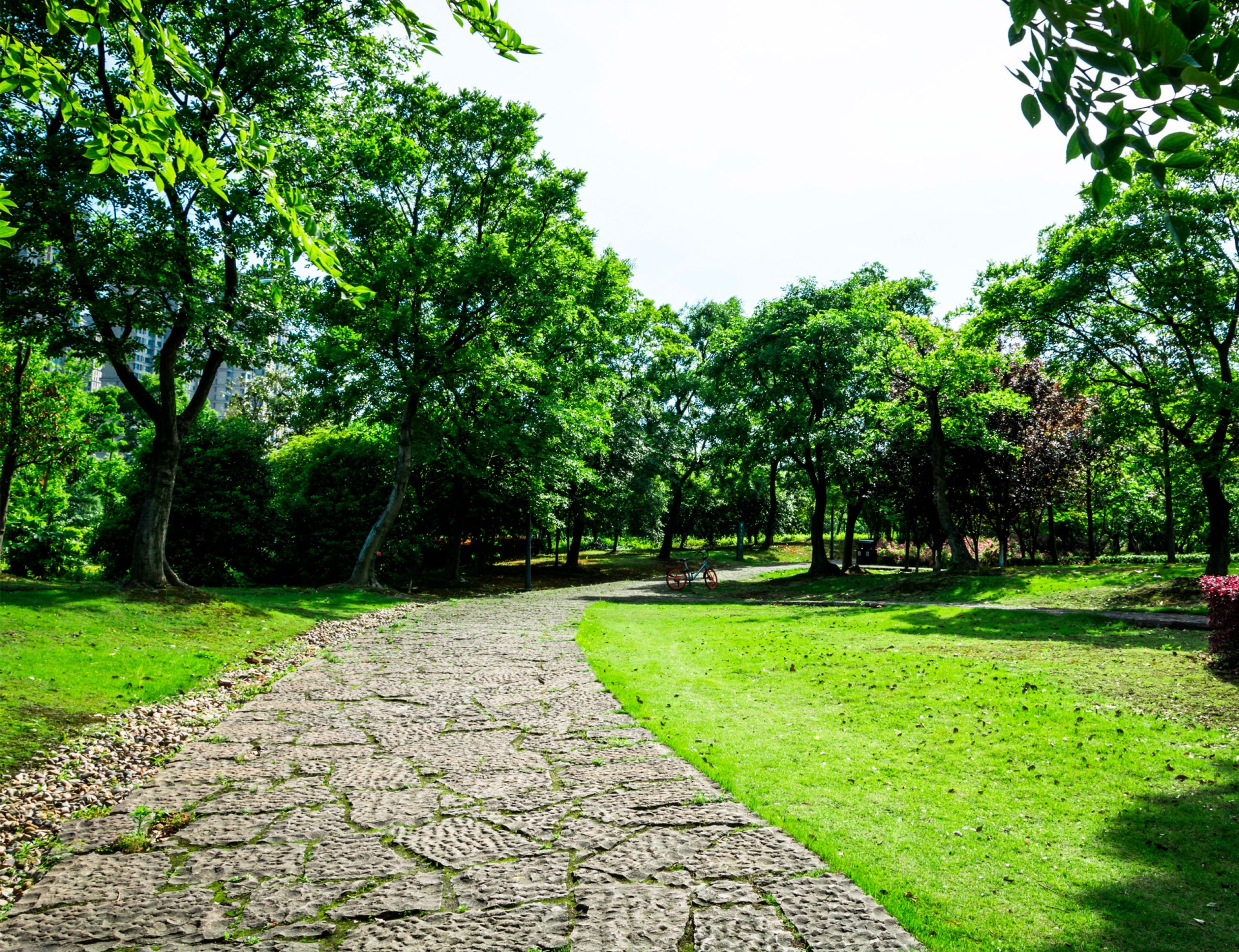 Farinha de osso (1 kg) Farinha de osso (1 kg)