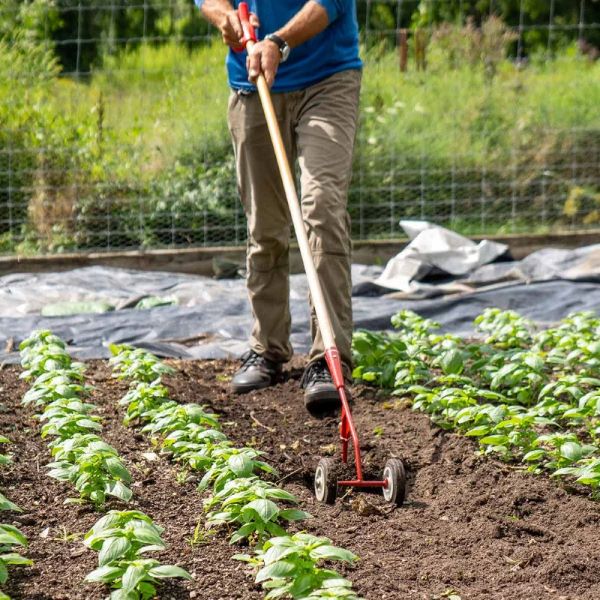 Enxada de rodas com lâmina de 180 mm Homem a usar ferramenta de jardinagem de cabo de madeira e estrutura vermelha com rodas em cultivo de plantas verdes