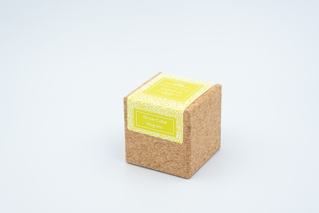 Grow Cube Coentros Grow Cube Coentros