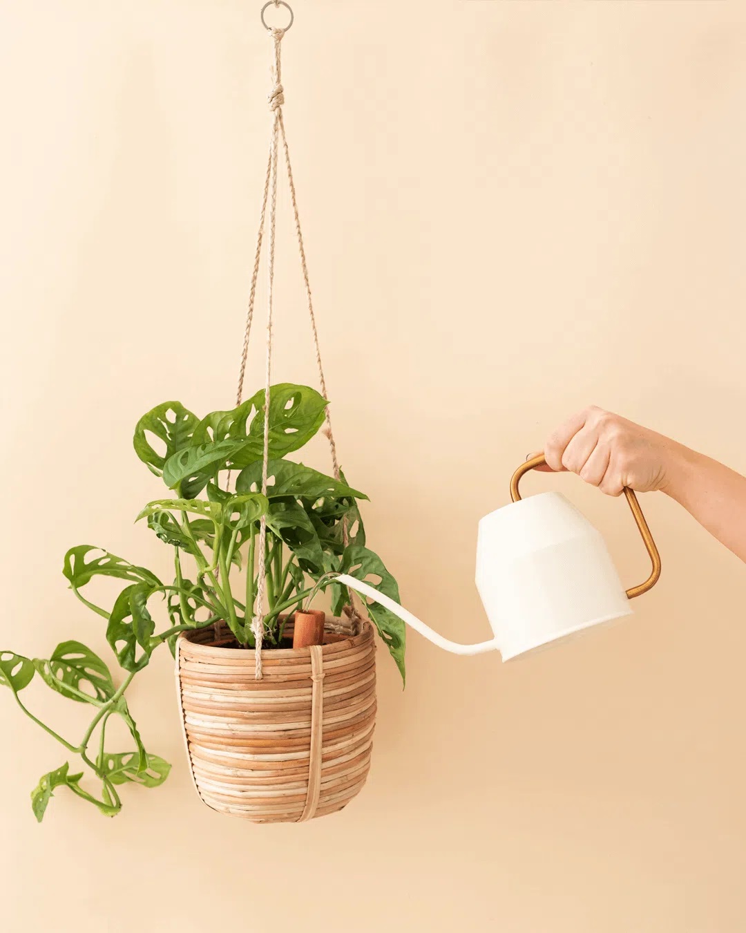 Tubo Barro para Rega Jarra branca com alça dourada a regar planta em vaso suspenso de vime