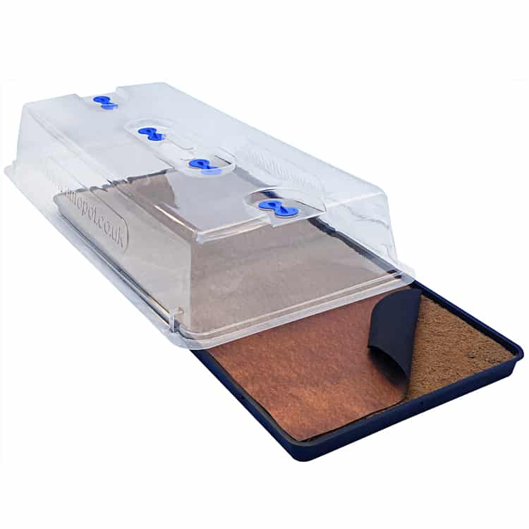 Easy2Propagate Kit Estufa de sementes com tampa transparente e base preta com substrato castanho