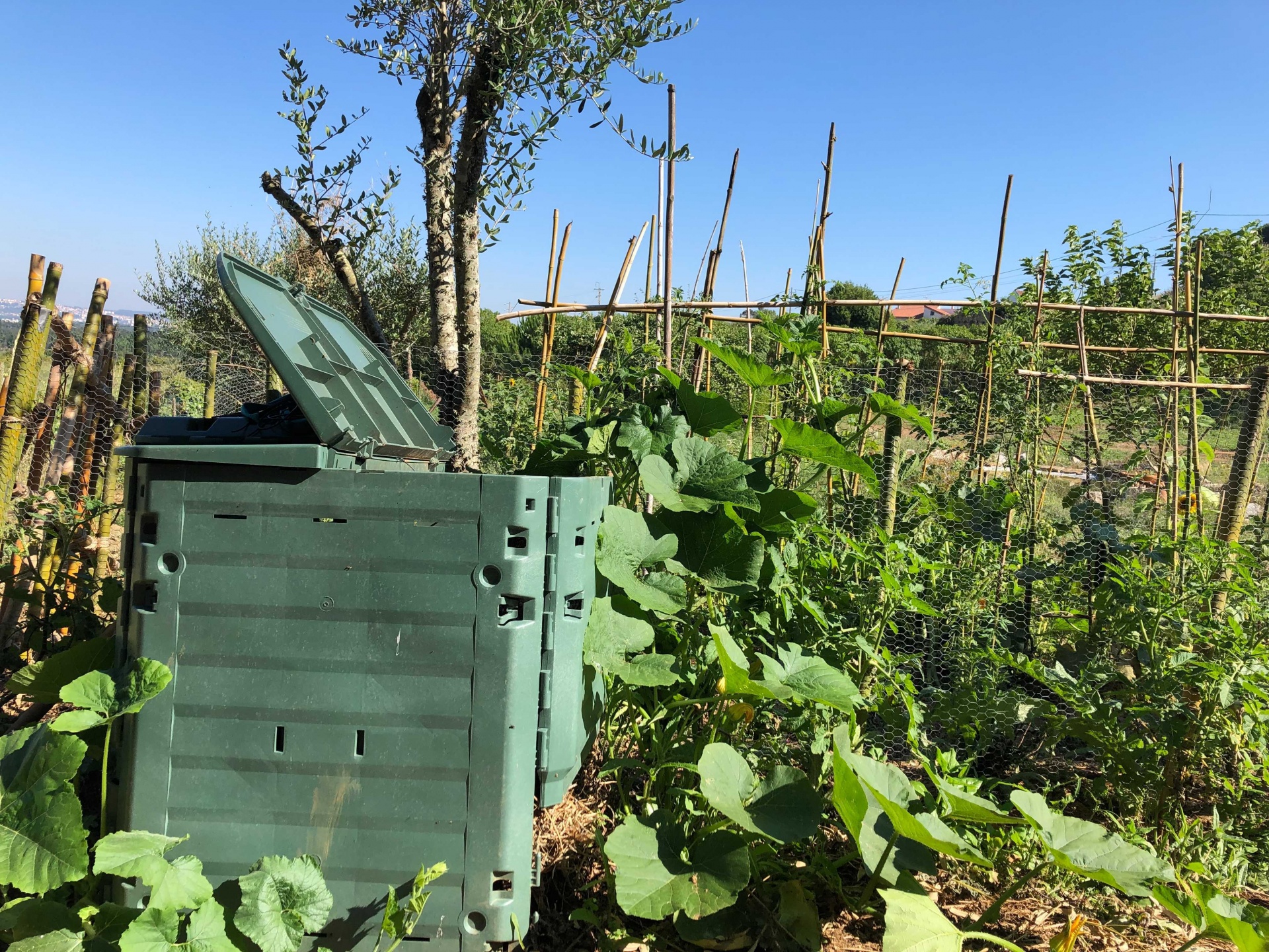 Compostor verde em jardim com plantas e tampa aberta sob céu azul