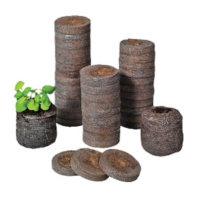 Jiffys Côco para germinação e clones Discos de turfa empilhados com uma planta a crescer num disco