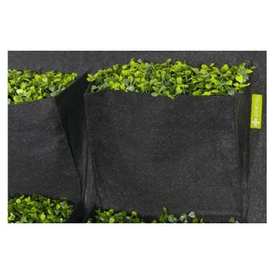 Bolsa de cultivo preta com plantas verdes e etiqueta amarela roott+