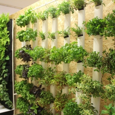 Jardim vertical com plantas verdes em tubos brancos numa estrutura de madeira.